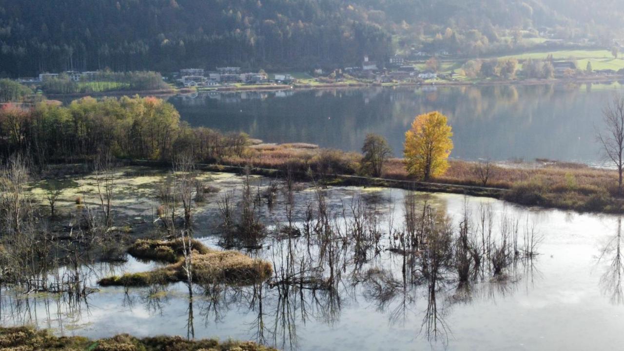 Ferienhaus Natura 2000 Steindorf am Ossiacher See Exteriér fotografie